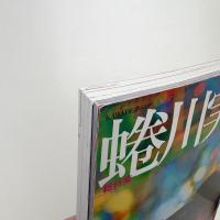 KAWADE夢ムック 文藝別冊 総特集 蜷川実花