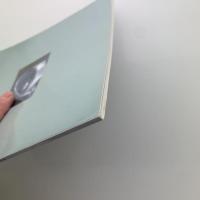シヴォーン・ハパスカ展　ロンドン・アート・シーンの旗手：明滅する記憶の未来形