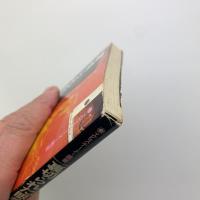 裏切られた眼差　レオナルドからウォーホールへ