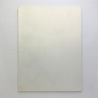 椿会展 2004