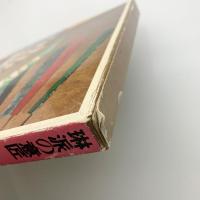 art japanesque 日本の美と文化14　琳派の意匠