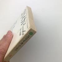 ユリイカ　詩と批評　1984年4月号
