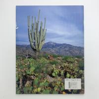 All about Saguaros