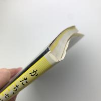 かたち、セリー　モランディーニ作品集