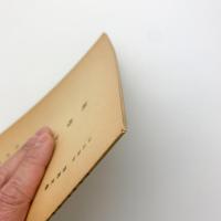 科学文学
