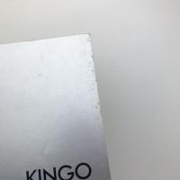 KINGO: WORK BY CAMERA