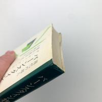 現代の超人　バーンスタイン物語