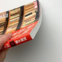 別冊太陽　城市郎の発禁本人生