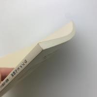 ラファエル前派　書物と肖像から