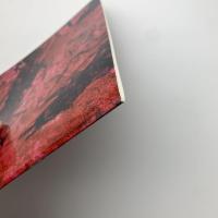 現代絵画の展望　12人の地平線