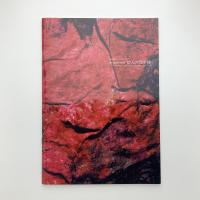 現代絵画の展望　12人の地平線