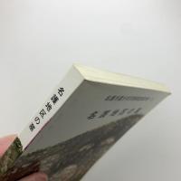 名護地区の墓