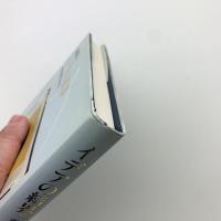 イデアの結界　西欧的感性のかたち