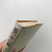 鏡の中の顔