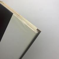 自然と遊戯　偶然を支配する自然法則