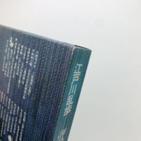 江戸川乱歩　評論と研究