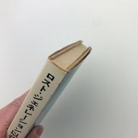 ロスト・ジェネレーション以後　現代アメリカ作家論