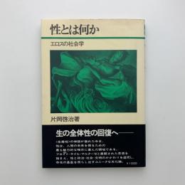 性とは何か　エロスの社会学