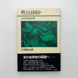 性とは何か　エロスの社会学