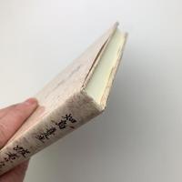 詩集 跛者からの献詩