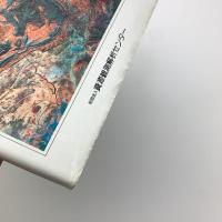 資源探査のためのリモートセンシング実用シリーズ 別冊　用語辞典