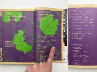 美術手帖　1981年2月号