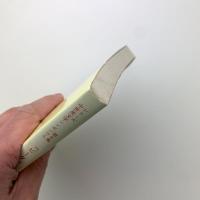 「ピータバラ年代記」の言語　シリーズ「中世英文学シンポジウム」 第6集