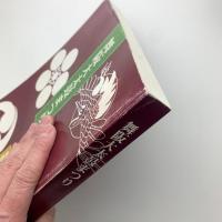 舞阪大太鼓まつり