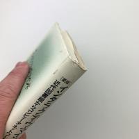 新版　インタラクティヴ・マインド　近代図書館からコンピュータ・ネットワークへ