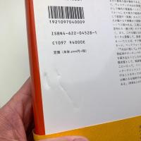 火山に恋して　ロマンス