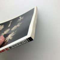 ウィリアム・レイサム展　THE EMPIRE OF FORM