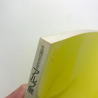 生誕100年記念 アルプ展