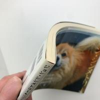 ジョン・シンメトリー