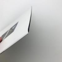 ゴダール　さらば、愛の言葉よ