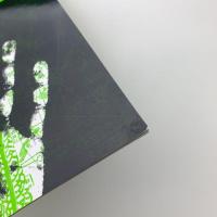 WEB OF LIFE: A Project on Living Networks. Linking Art and Science