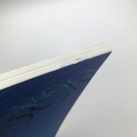 VOCA展2003　現代美術の展望　新しい平面の作家たち