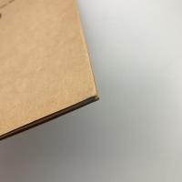光の糸が見える　飯田善國展