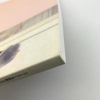ファミリー美術館2000　子供の世界 遊びと暮し