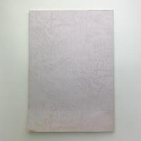 平成16年度　全国美術館会議第20回学芸員研修会報告書　指定管理者制度