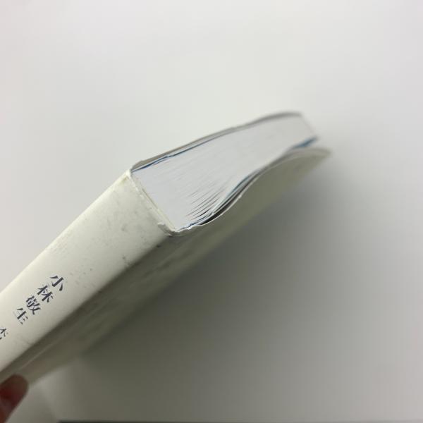 Amazon.co.jp: 小林敬生: 木口木版画全作品1976-2011 : 小林
