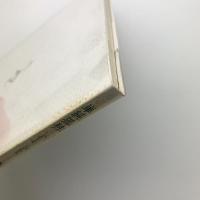 単純孤独　高岸昇作品集