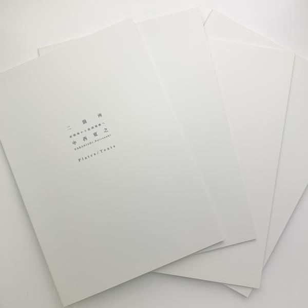 中西夏之　[絵画場 /絵画衝動] 研究と実践 二箇所 絵画場から絵画衝動へ 中西夏之(東京藝術大学美術学部