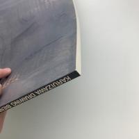 KARUIZAWA DRAWING BIENNALE 1993
