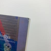 アトゥール・ドディヤ展　ポンペイ：迷宮/実験室