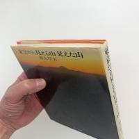 東京から見える山 見えた山