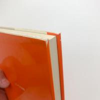 現代アメリカ文学試論　フィッツジェラルドをめぐって