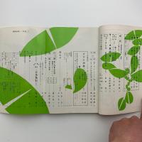 美術手帖　1961年1月号