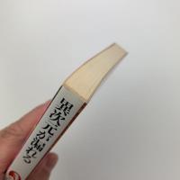 異次元が漏れる　偶然論講義