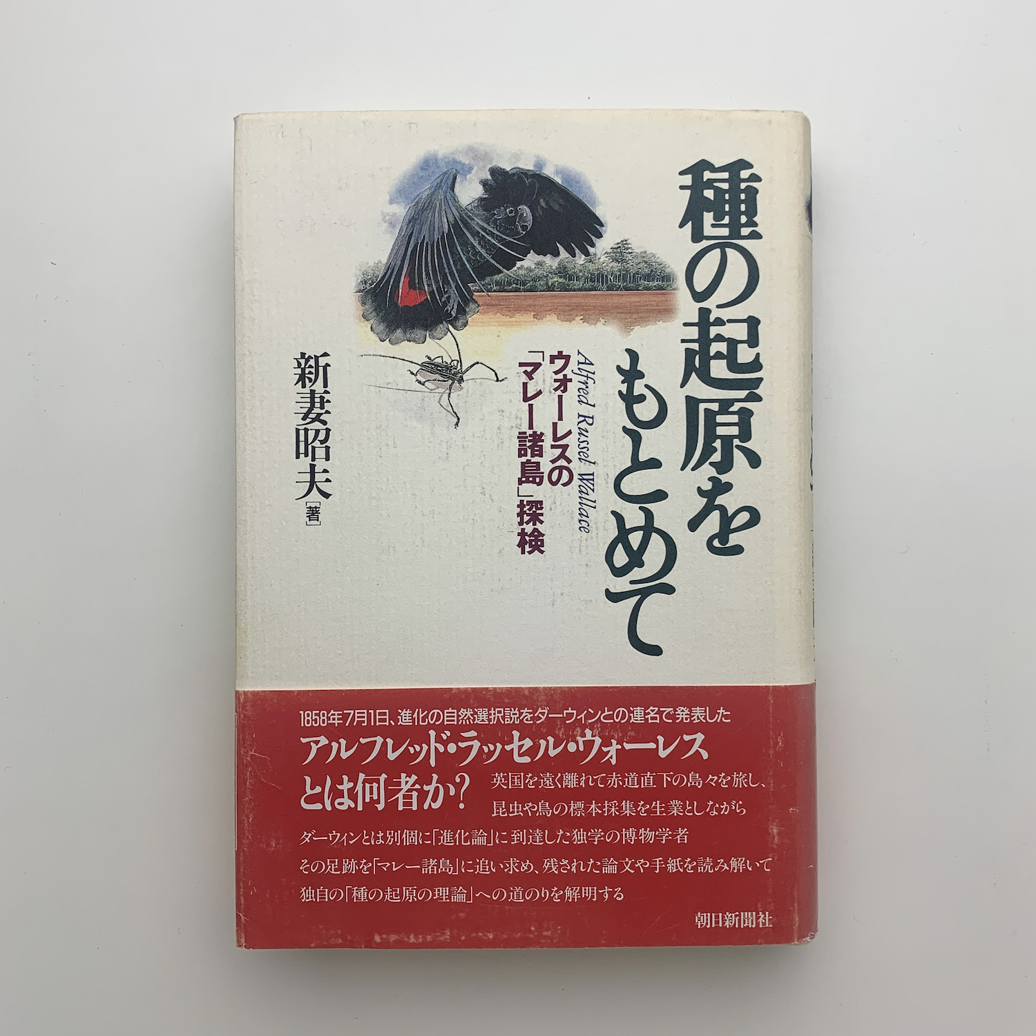 種の起原をもとめて ウォーレスの「マレー諸島」探検(新妻昭夫) / 玄玄書林 / 古本、中古本、古書籍の通販は「日本の古本屋」