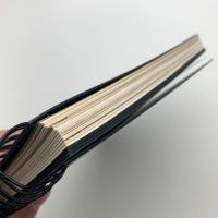交錯する流れ　MoMA現代美術コレクション